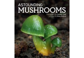 Astounding Mushrooms