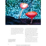 The Lives of Fungi: A Natural History of Our Planet's Decomposers