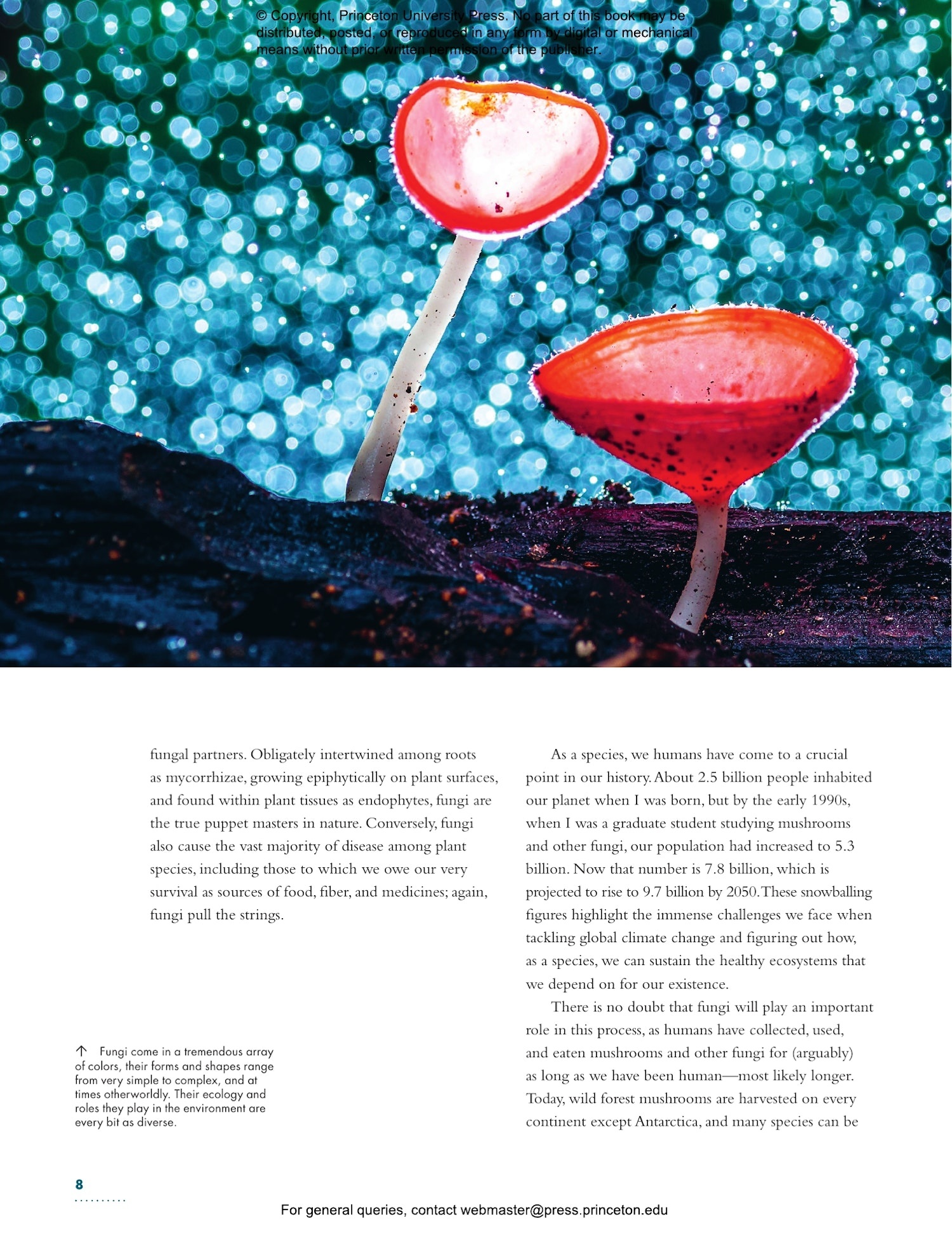 The Lives of Fungi: A Natural History of Our Planet's Decomposers