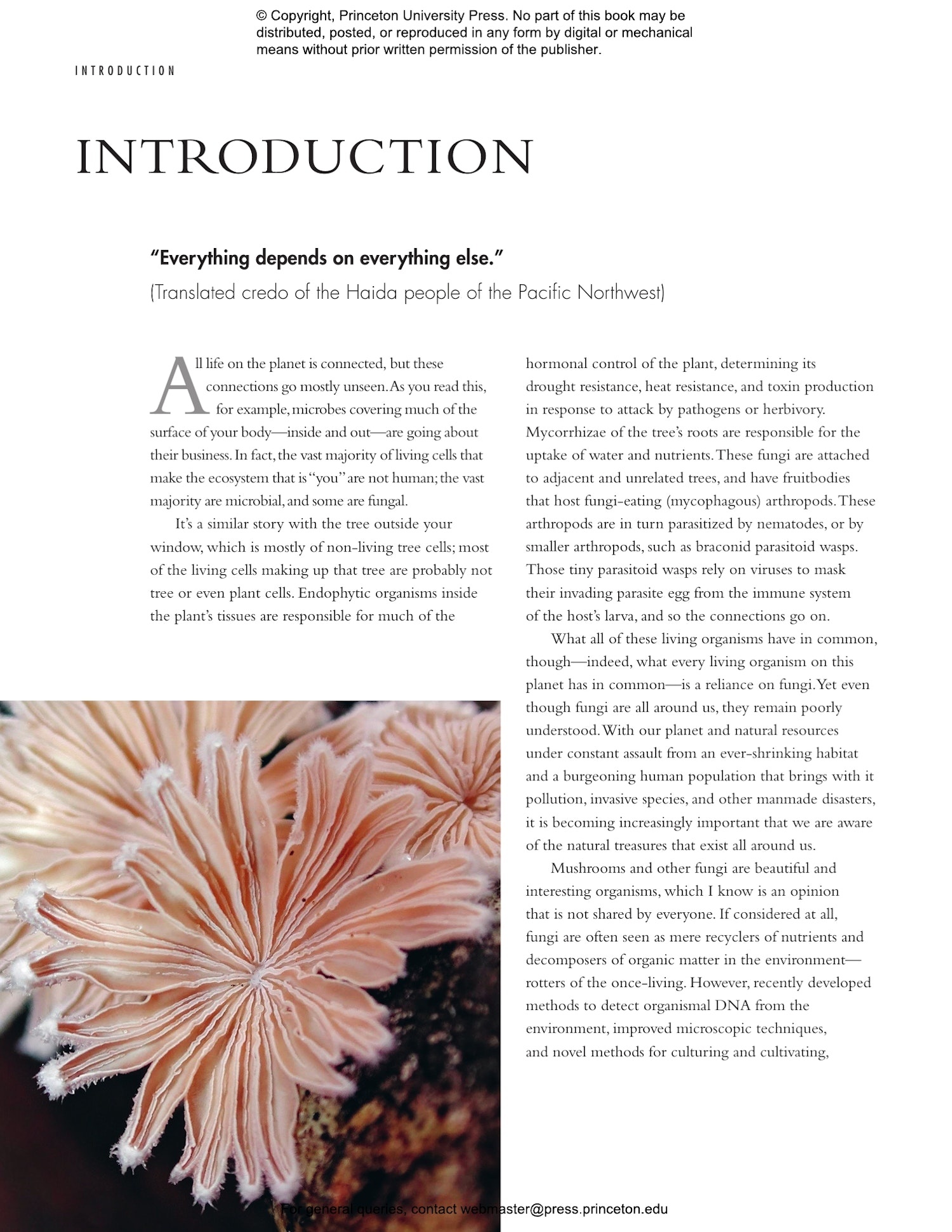 The Lives of Fungi: A Natural History of Our Planet's Decomposers