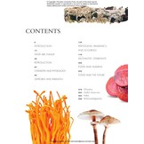 The Lives of Fungi: A Natural History of Our Planet's Decomposers