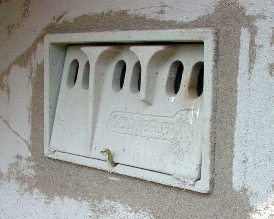 Schwegler Sperlingskoloniehaus 1SP