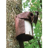 Schwegler Nest Box 3SV with integrated predator protection