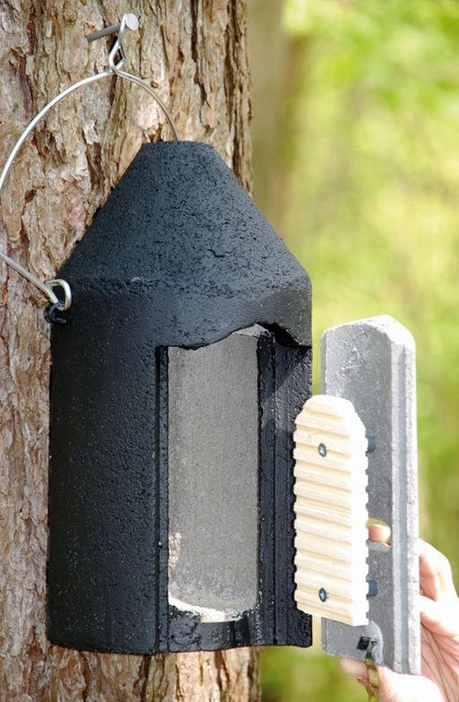 Schwegler Vleermuiskast 2F - Enkele of Dubbele Voorwand