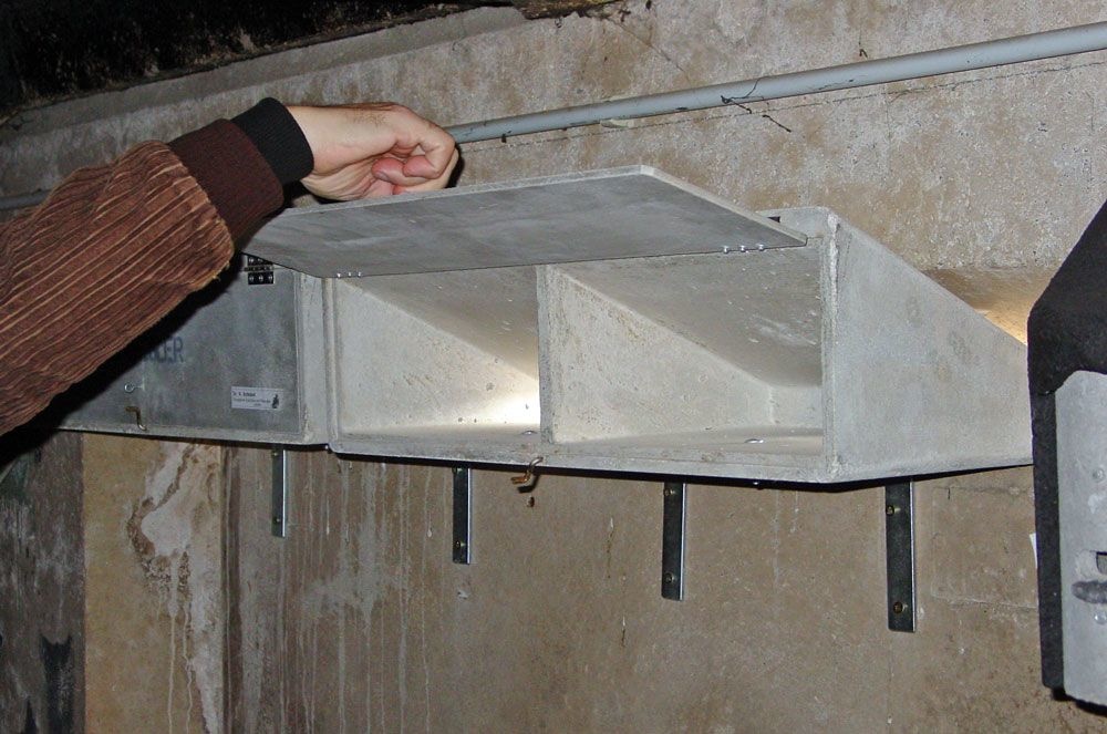 Wigvormige Gierzwaluwkast (Drempelkast)