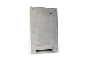 Schwegler Winter Batbox 2WI