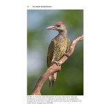 The Green Woodpecker - The Natural and Cultural History of Picus viridis