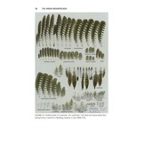 The Green Woodpecker - The Natural and Cultural History of Picus viridis