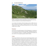 The Green Woodpecker - The Natural and Cultural History of Picus viridis