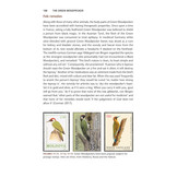 The Green Woodpecker - The Natural and Cultural History of Picus viridis