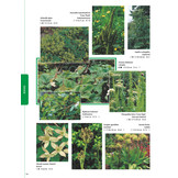 Tuinplantenencyclopedie op kleur