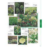 Tuinplantenencyclopedie op kleur