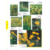 Tuinplantenencyclopedie op kleur