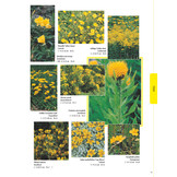 Tuinplantenencyclopedie op kleur