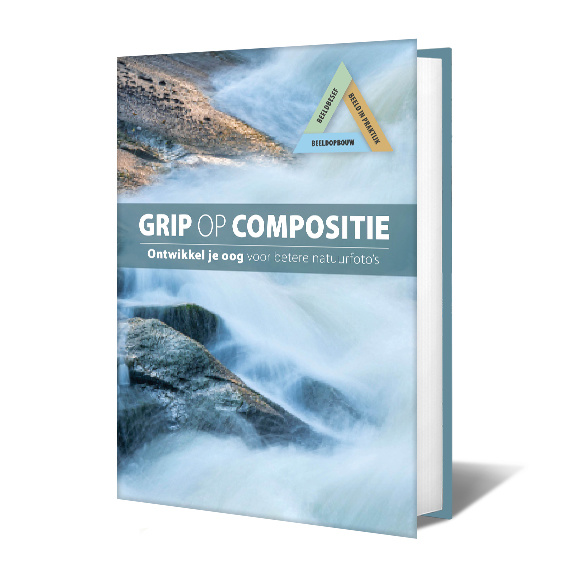 Grip op compositie