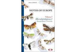 Moths of Europe, Volume 7