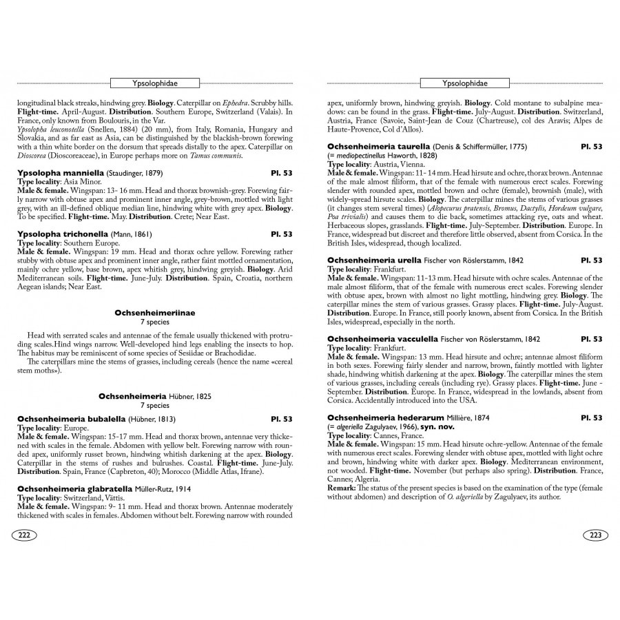 Moths of Europe, Volume 7: Microlepidoptera 1