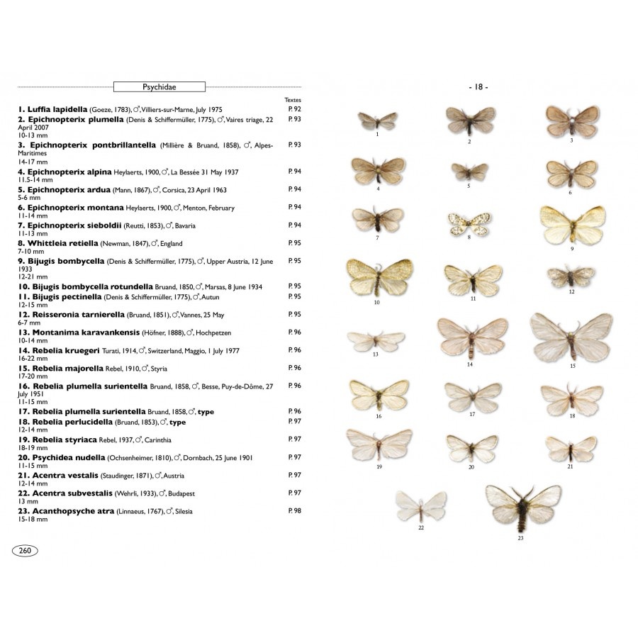 Moths of Europe, Volume 7: Microlepidoptera 1