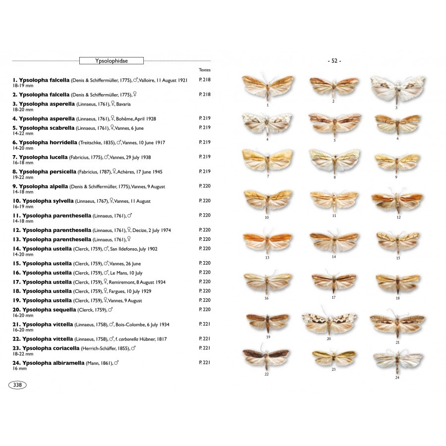 Moths of Europe, Volume 7: Microlepidoptera 1