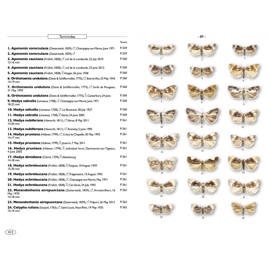 Moths of Europe, Volume 7: Microlepidoptera 1