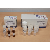 eDNA-Isolierungskit – mit oder ohne interne Positivkontrolle