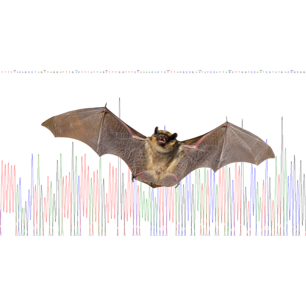 Rat Barcoding Mammalian barcoding kit - Veldshop