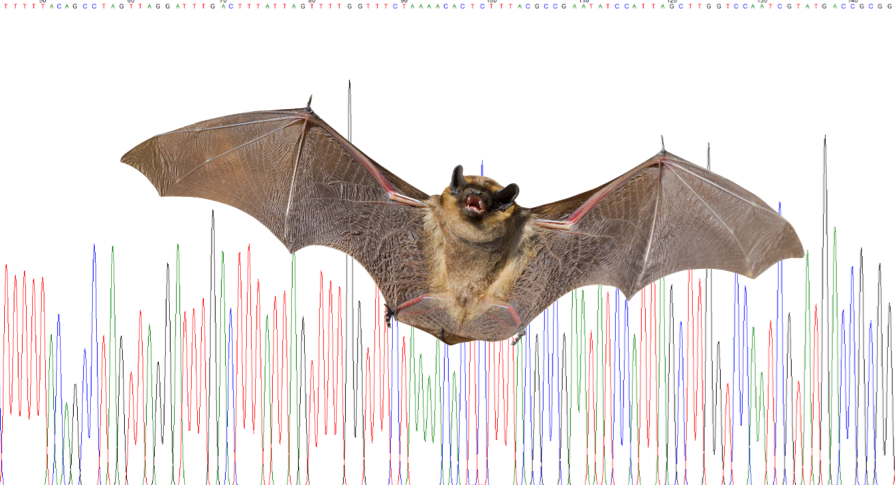 Mammalian barcoding kit