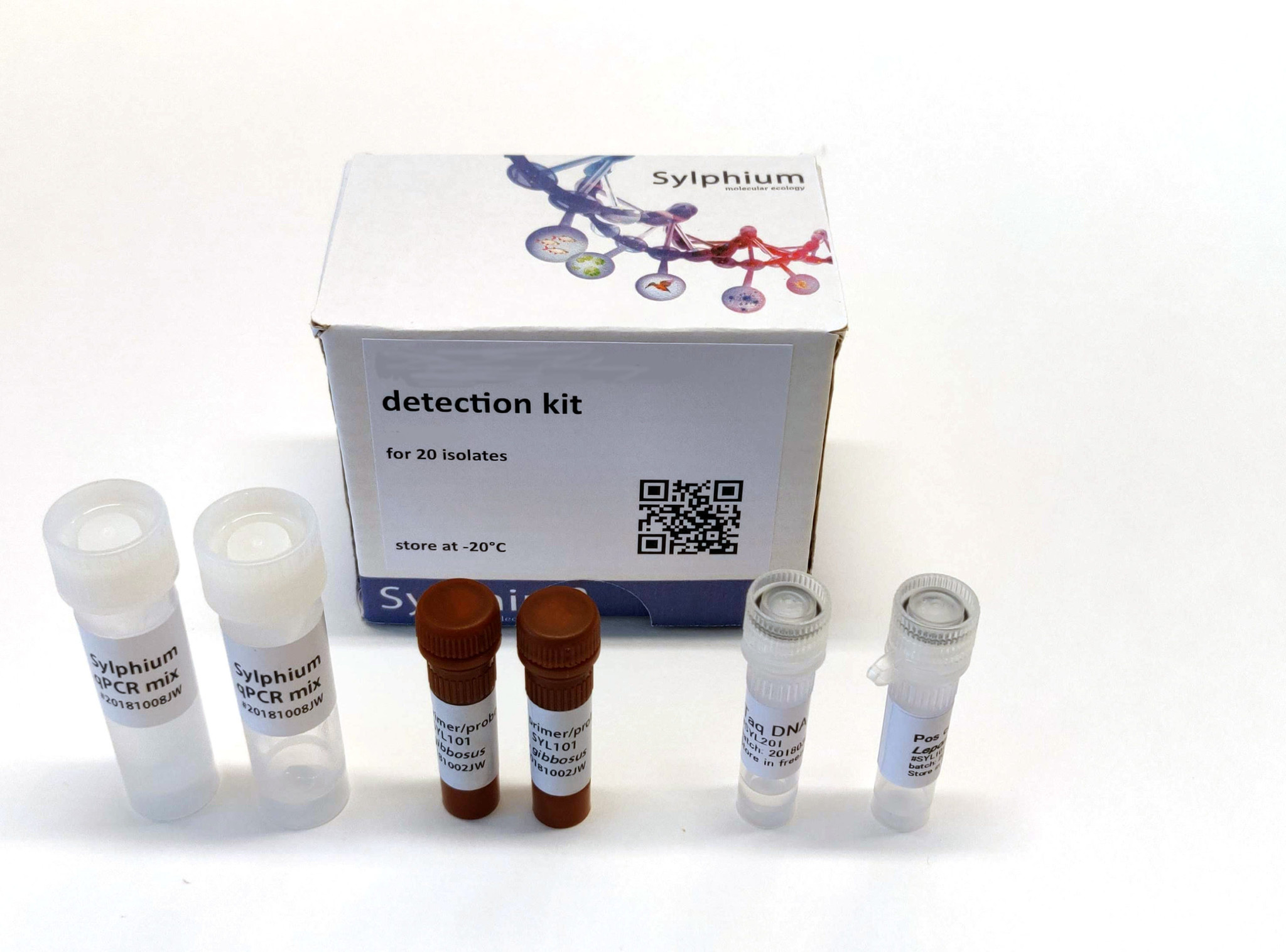 Lissotriton vulgaris eDNA qPCR Detectiekit