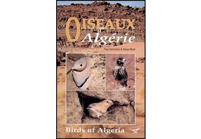 Birds of Algeria / Oiseaux d'Algérie