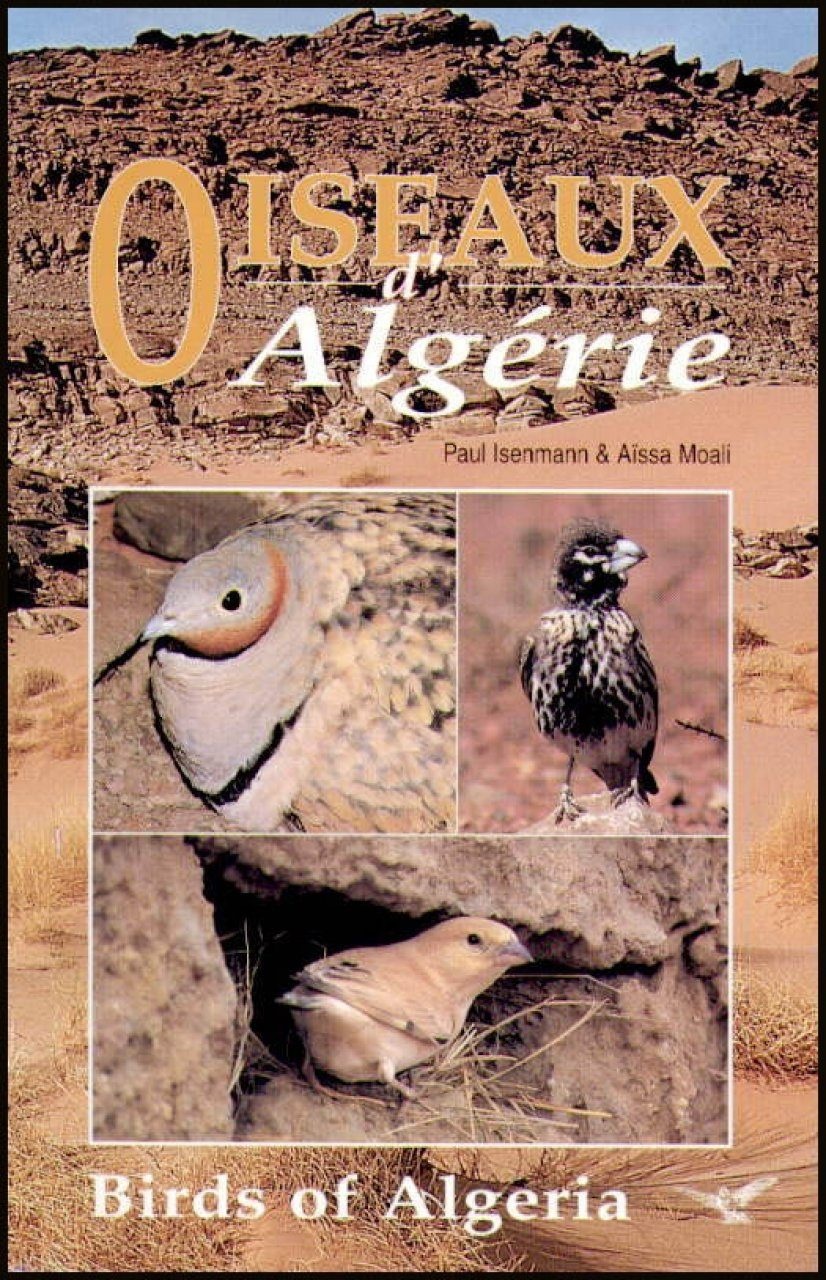 Birds of Algeria / Oiseaux d'Algérie