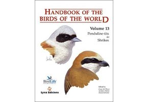 Handbook of the Birds of the World - Volume 13