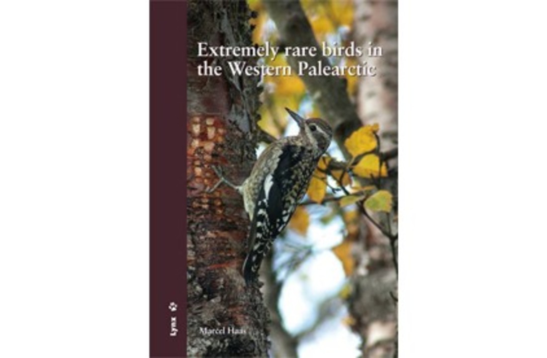 Extremely rare birds in the Western Palearctic