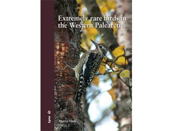 Extremely rare birds in the Western Palearctic
