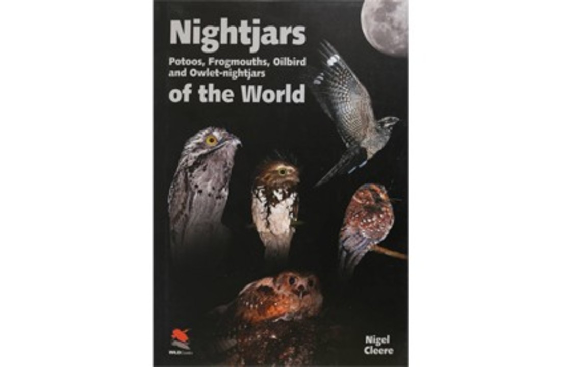 Nightjars of the World - Potoos, Frogmouths, Oilbird, and Owlet-nightjars