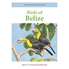 Birds of Belize