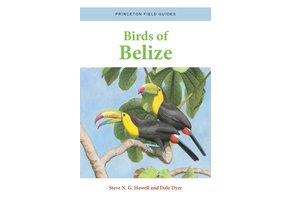 Birds of Belize