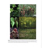 Carnivorous Plants - Physiology, Ecology, and Evolution