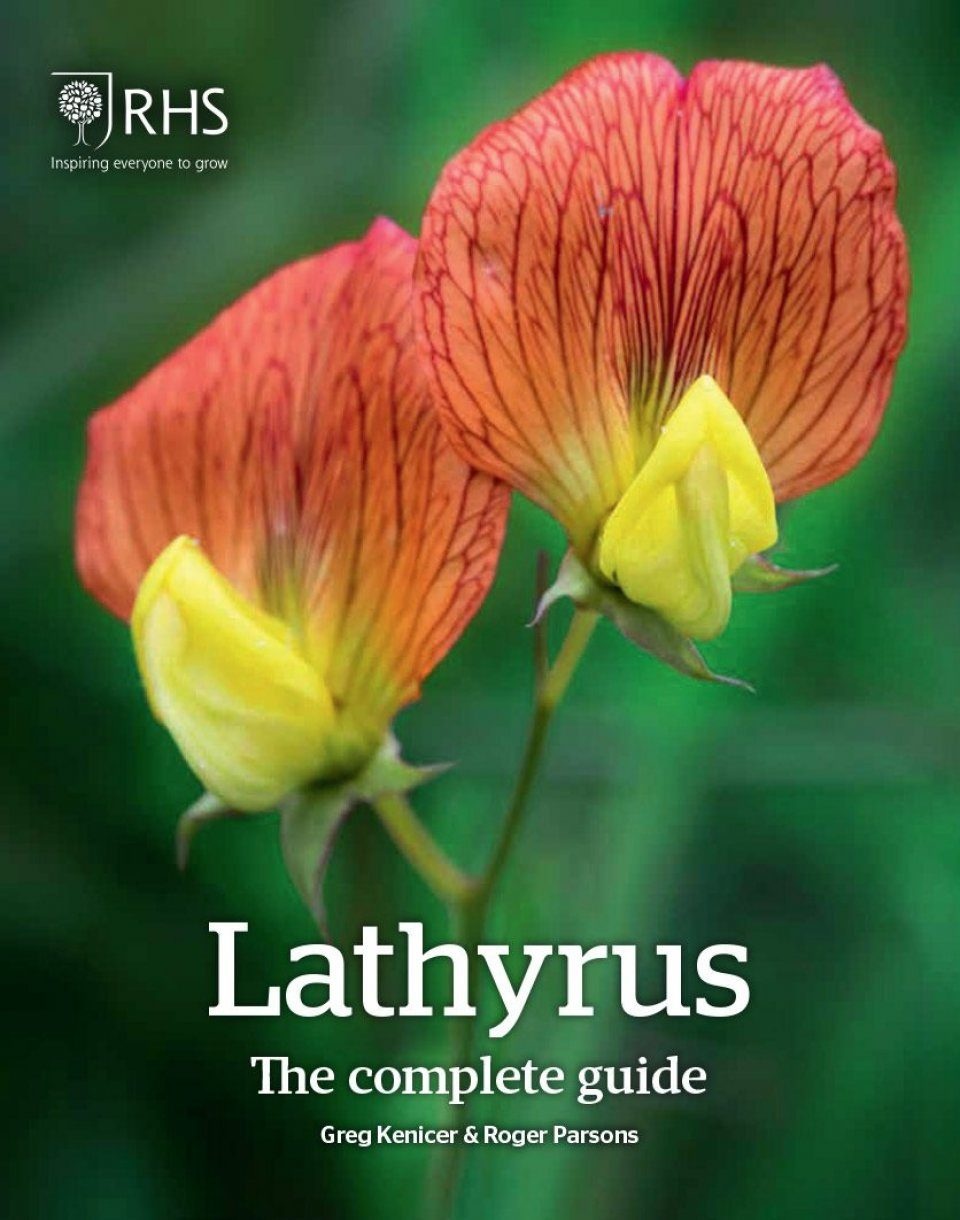 Lathyrus - The Complete Guide