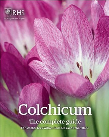 Colchicum - The Complete Guide