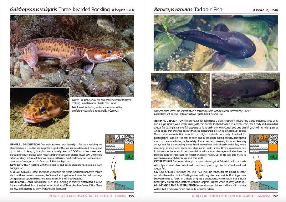 Inshore Fishes of Britain and Ireland