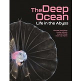 The Deep Ocean - Life in the Abyss