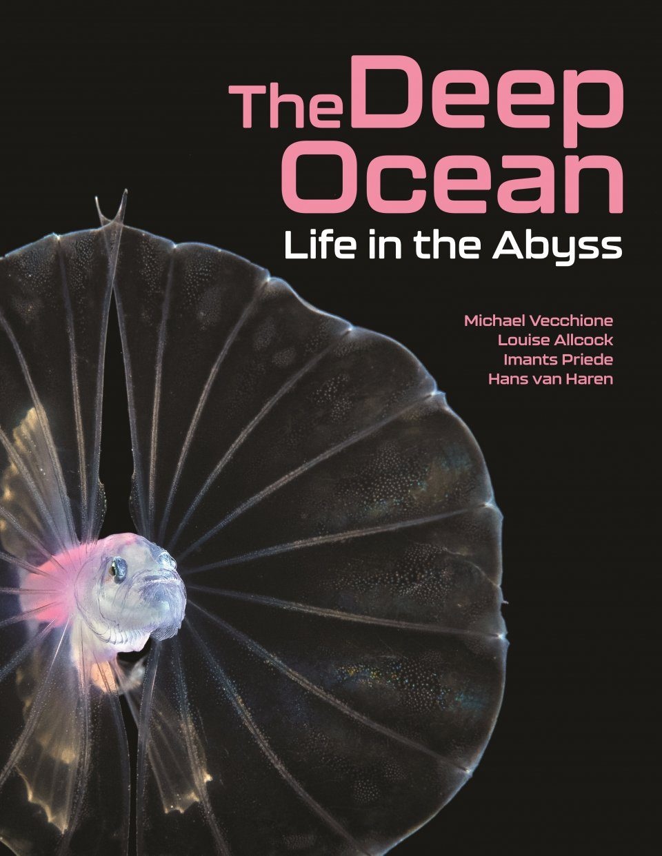 The Deep Ocean - Life in the Abyss