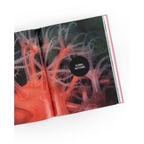 The Deep Ocean - Life in the Abyss