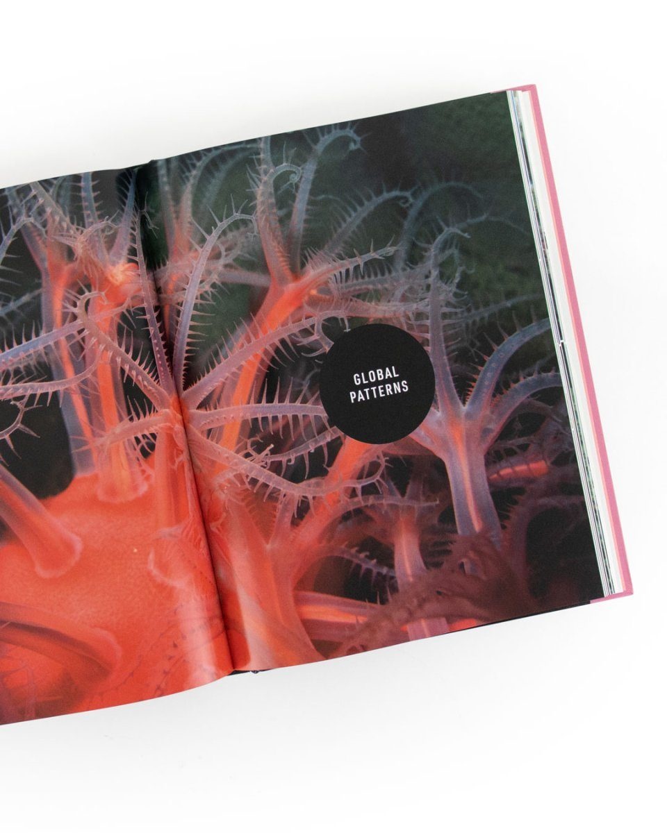 The Deep Ocean - Life in the Abyss