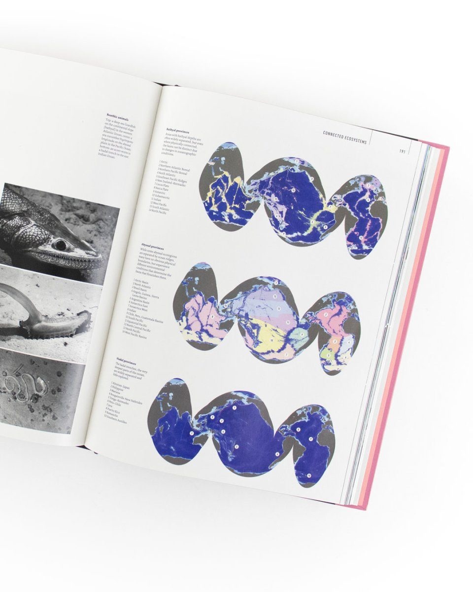 The Deep Ocean - Life in the Abyss