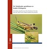 De Nederlandse Sprinkhanen en Krekels (Orthoptera)