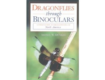 Dragonflies through Binoculars