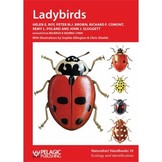 Ladybirds