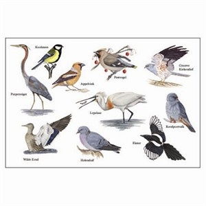 Lens Cloth Birds