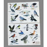 Lensdoekje Vogels